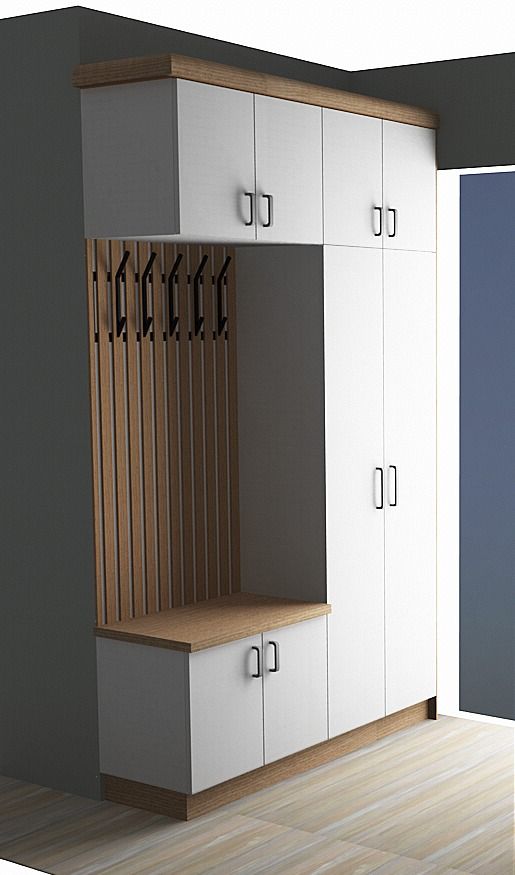 Dəhliz dolabı sadə